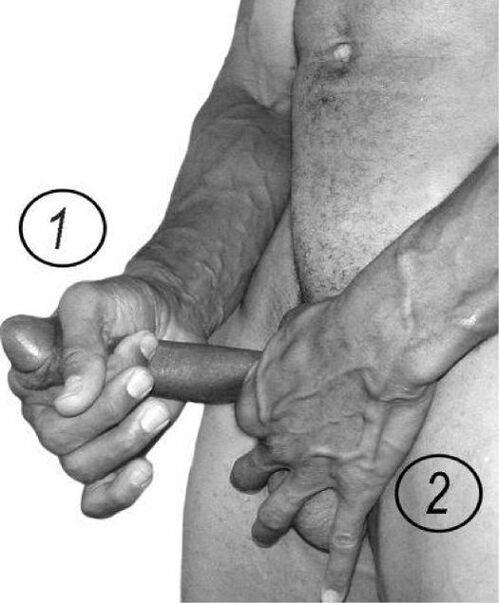 Stretches to increase member