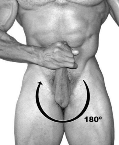 rotation of penis to increase it