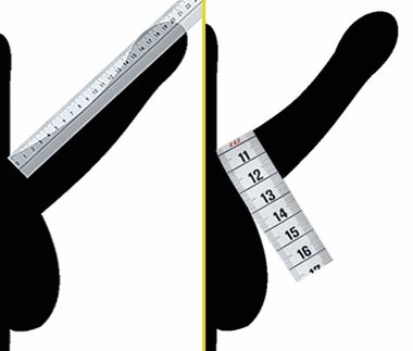 Measure the diameter of the penis before enlargement